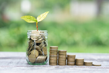 Wall Mural - money for business investment finance and banking concept. green plant leaves growth up on row of saving coin stack on wood table with green blur nature background.