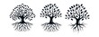 set of tree roots logo design vector illustration