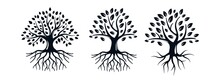 Set Of Tree Roots Logo Design Vector Illustration