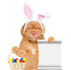 Poster - Smiling puppy wearing easter rabbits ears holds basket of painted eggs and empty list. Isolated on white background