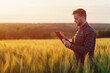 © eduard - A farmer makes notes on the background of agricultural land during sunset. A young agronomist holds a folder in his hands on a green wheat field.