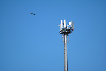 Canvas Print - Antenna