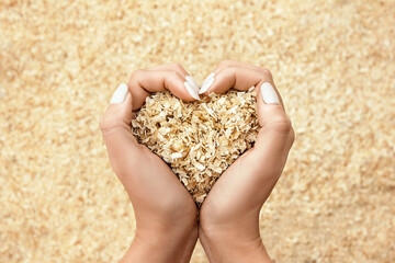 beautiful female hands, in the shape of a heart, carefully, lovingly hold a handful of wooden sawdust on a blurred background with a lot of sawdust. concern for nature. Protecting trees. ecology. warm