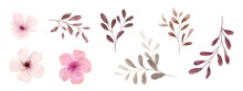 Set Of Watercolor Pink Flowers And Brown Leaves Elements