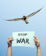 stop war sign raised by female hands with white bird and blue sky