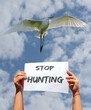 stop hunting. sign raised by female hands with white bird and blue sky