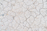 Fototapeta  - white dry soil for background.