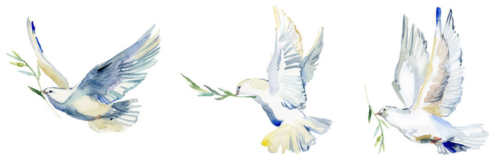 flying white dove and olive branch watercolor illustration. symbol of peace. white pigeon isolated o