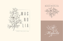 Magnolia Flower Logo And Branch Set. Hand Drawn Line Wedding Herb, Elegant Leaves For Invitation Save The Date Card. Botanical Rustic