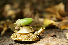 A Metal Turtle With An Acorn On Its Shell Close-up.