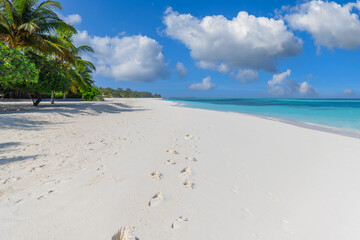 Sunny tropical beach with foot steps in white sand and palm trees on Maldives. Footprints on exotic beach landscape, tropical island shore, calm sea view under blue bright sky horizon. Couple vacation