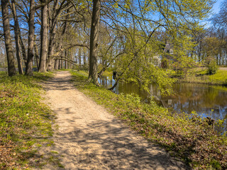 Poster - walking track in park at spring season