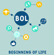 BOL - Beginning of Life acronym. business concept background. vector illustration concept with keywords and icons. lettering illustration with icons for web banner, flyer, landing pag