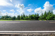 Asphalt road and green forest nature scenery under blue sky