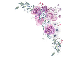 Flower Bouquets With Purple Roses And Anemones On A White Isolated Background. Hand-drawn Watercolor Illustration