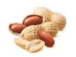© yggdrasil - Handful of peanuts in nutshell isolated on white background. Whole nuts and peeled kernels.