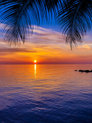 Wall Mural - Nice sunset. Dark palm trees silhouettes on colorful tropical ocean sunset background