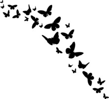 Fluttering Butterflies Illustrations Fluttering Butterflies SVG EPS PNG