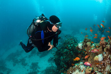 Wall Mural - Scuba diver observes a beautiful coral reef.
