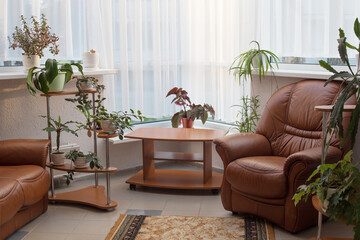 Wall Mural - home interior with houseplants.