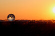 © Zac Caldwell - Lese Ball at Sunset With Blowing Snow