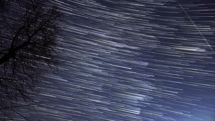 Wall Mural - Star trails in the night sky