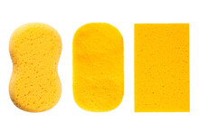 Set Of Sponge Isolated On White Background.