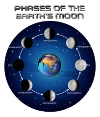 Wall Mural - Phases of the moon for science education