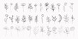 Flowers Line Art Vector Illustrations Set for Prins, Social Media, Icons. Floral Trendy Templates Minimalist Style. Set of Abstract Flowers in Line Style. Hand Drawn Doodle Template Collection