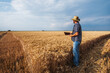 © djoronimo - Agronomist is examining grain crops while harvesting is taking place.