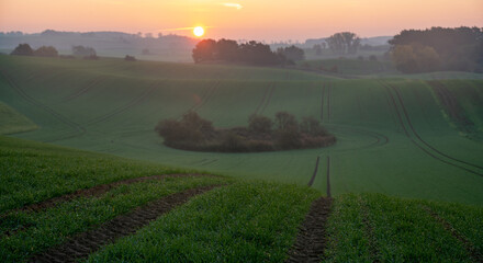Wall Mural - sunrise over a green farmland