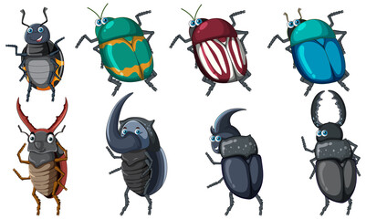 Poster - Set of different insects and beetles in cartoon style