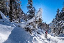 Trentino, Escursione Sulla Neve