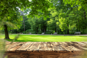 Desk of free space and spring landscpae of garden 