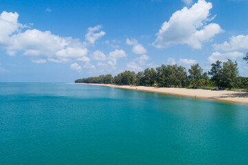 Aerial view Drone camera of Tropical sea with Row of pine trees near the beach in Thailand Beautiful sea and sky Travel and tour concept