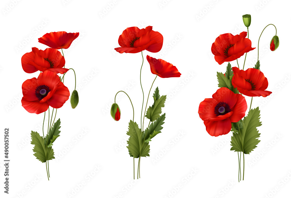 Red Poppies Flowers Bouquet Realistic Set Stock Vector | Adobe Stock
