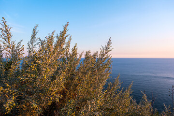 Poster - Posillipo Rocky cliff, coastline in Naples, Italy