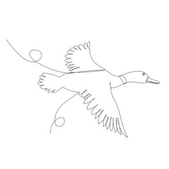 Wall Mural - flying duck drawing in one continuous line, isolated vector