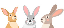 Rabbits Portrait, Flat Design On White Background, Isolated Vector