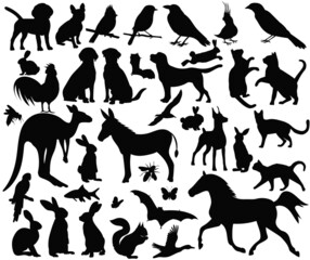 Wall Mural - animals and birds set silhouette, collection isolated vector