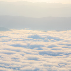 Wall Mural - sunrise time with sea of fog and clouds with mountain hill at sri nan national park doi samer dao na