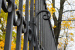 Black forged metal fence details, close up photo