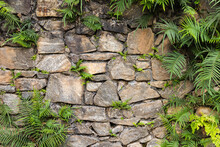 Old Wall Made Of Rough Stones With Green Plants
