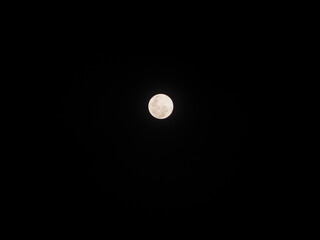 full moon in the night