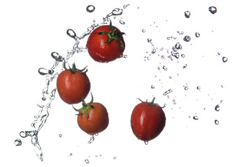Wall Mural - fresh red tomatoes in splash of water isolated on white background