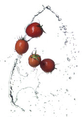 Sticker - Fresh red Tomatoes in splash of water Isolated on white background