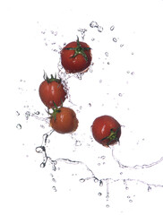 Wall Mural - fresh red tomatoes in splash of water isolated on white background