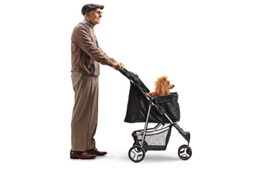 Canvas Print - Full length profile shot of an elderly man standing with a red poodle in a dog stroller