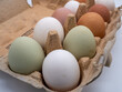 Bunte Eier in einer Eierpackung