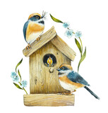 Fototapeta  - Bird on a birdhouse. Pattern with bird and chick. Watercolor hand drawn illustration